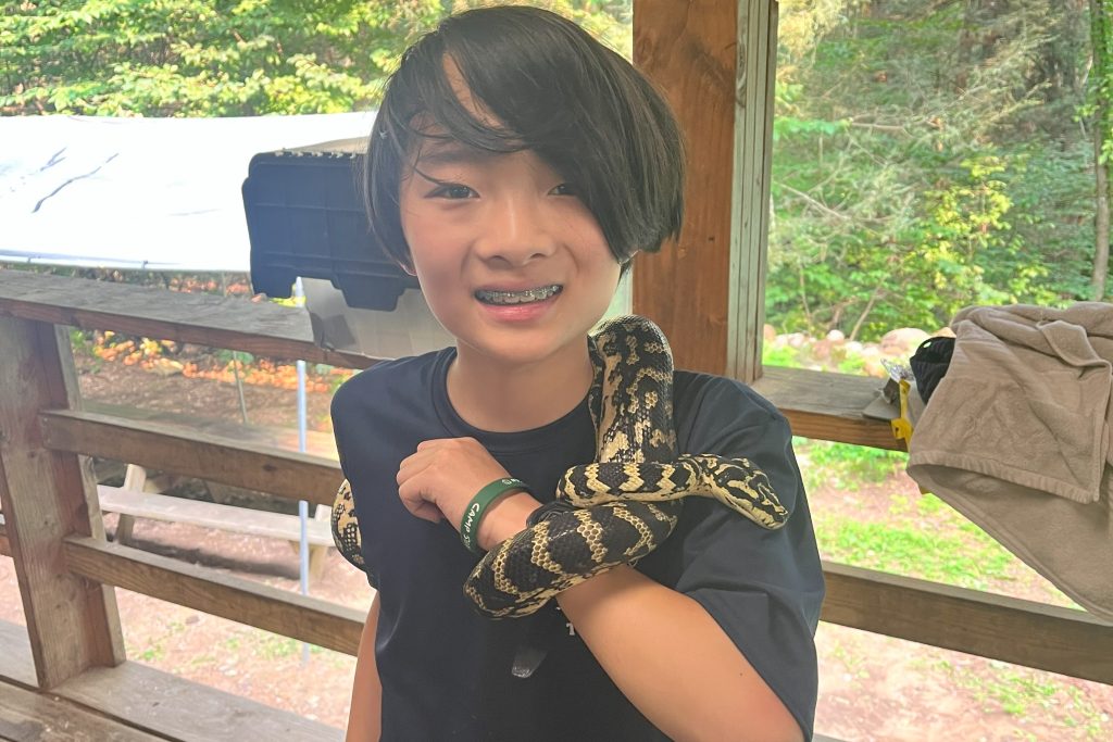 Ecology Snake 3x2