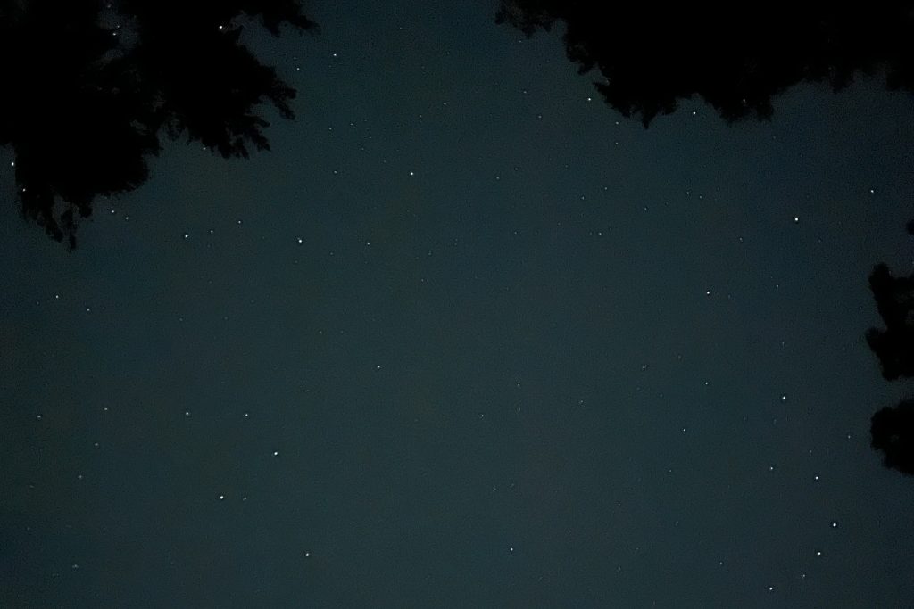 Ecology Stars 3x2