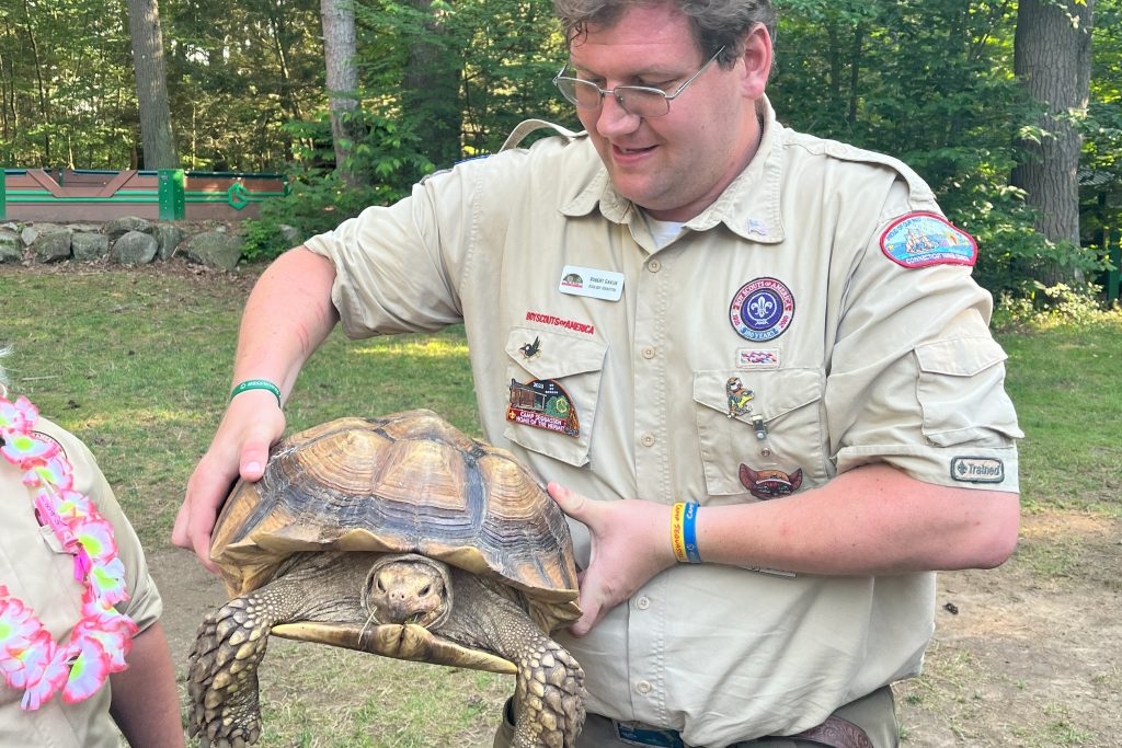 Ecology Turtle 3x2