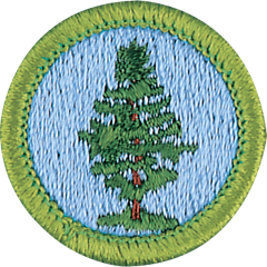 Forestry