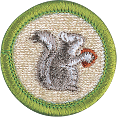 Mammal Study