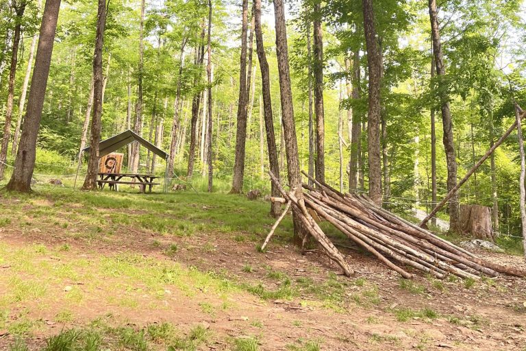 Learn Outdoor Skills with the Wilderness Survival Merit Badge