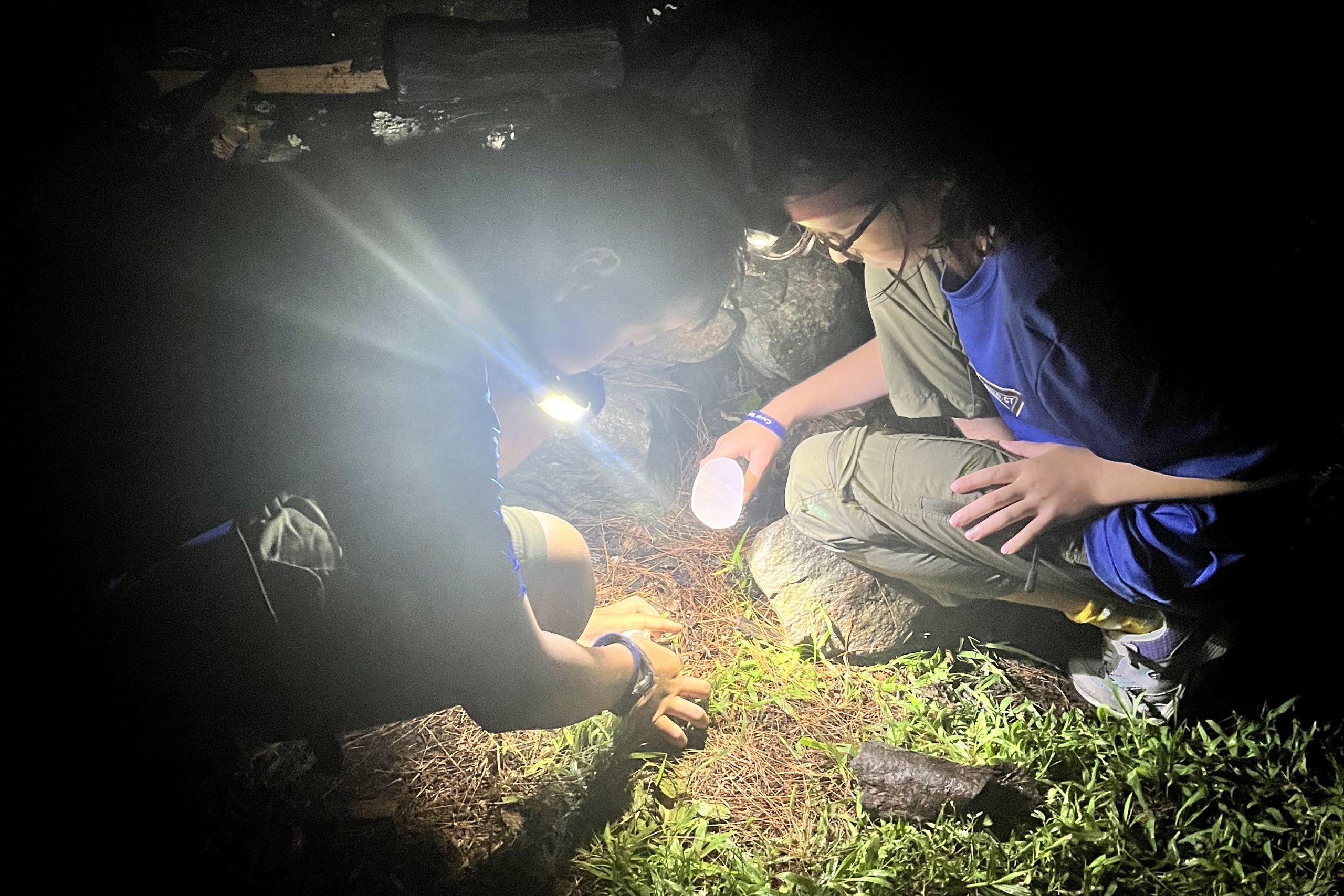 Bug Wall at Camp Sequassen Brings Nature and Fun Together